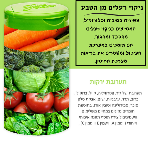 קפסולות 2