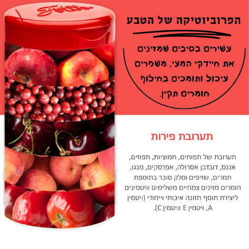 קפסולות 3